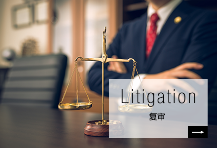 Litigation 复审