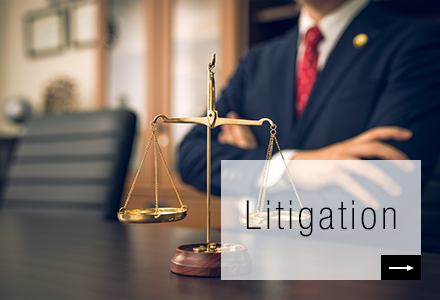 Litigation