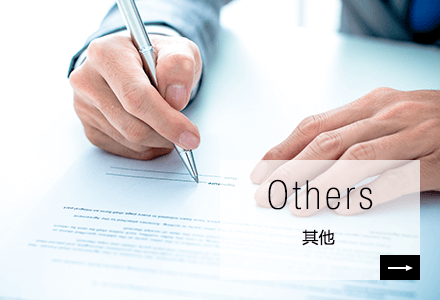 Others 其他