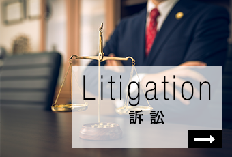 Litigation 訴 訟