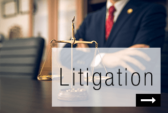 Litigation 复审